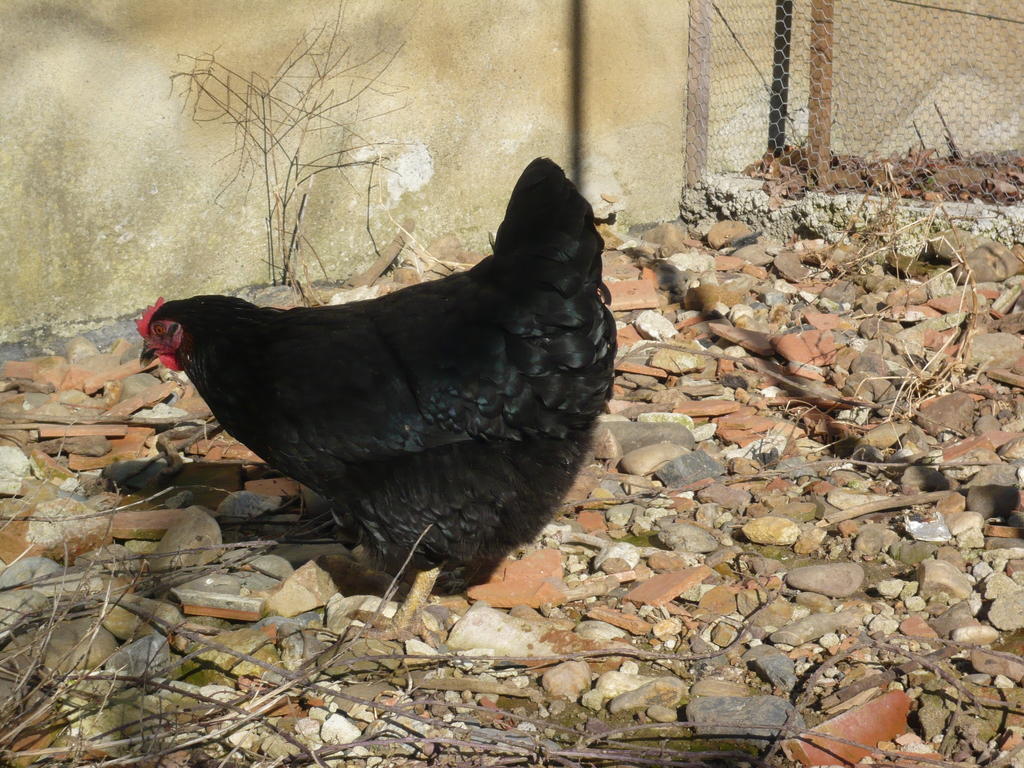 Bed and Breakfast Le Soubiran Berat Esterno foto